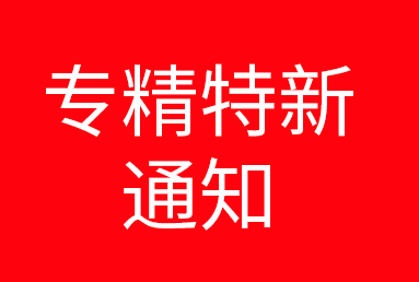 关于支持“专精特新”中小企业高质量发展的通知