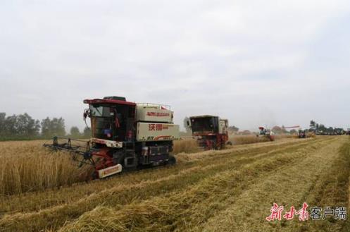 甘肃举办“三夏”农机化生产暨小麦机收减损现场会