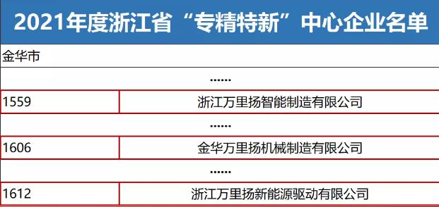 万里扬三家子公司被认定为浙江省"专精特新"中小企业