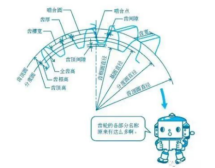 齿轮的直径不同，为什么能啮合？