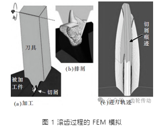 刀具轮廓对滚齿磨损特征的影响分析