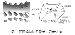 环面蜗轮滚刀侧后角面磨削干涉分析